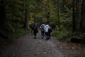 Fotoaktywni 67